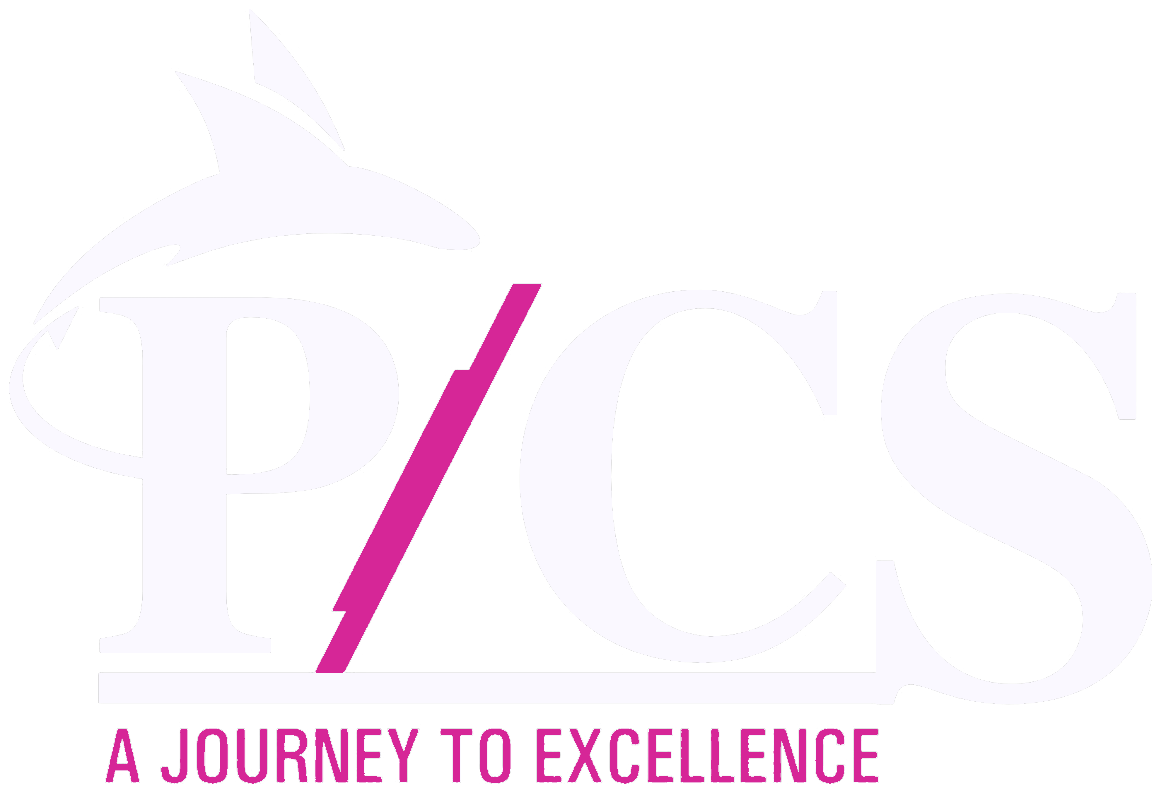 PCS - A Journey to Excellence